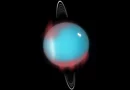 astronomia, aurora, urano