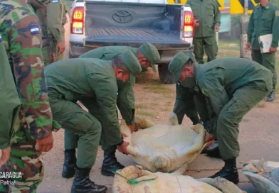 ejercito de nicaragua, destacamento militar norte, operativos