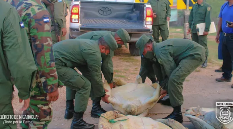 ejercito de nicaragua, destacamento militar norte, operativos