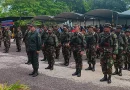 cafe, nicaragua, noticias, plan proteccion, cosecha, cafetalera, ejercito de nicaragua
