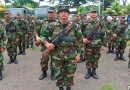 ejército de nicaragua, nicaragua, cosecha cafetalera, cafe,
