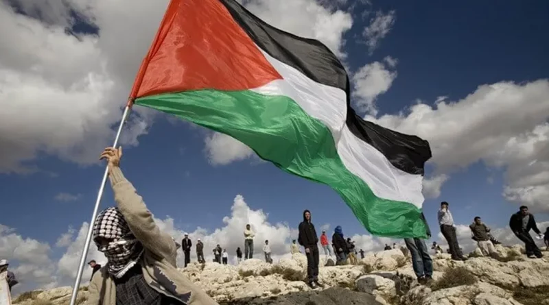 palestina, israel, conflicto, opinion