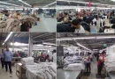 zona franza, dasoltex, managua, nicaragua, nuevos empleos,