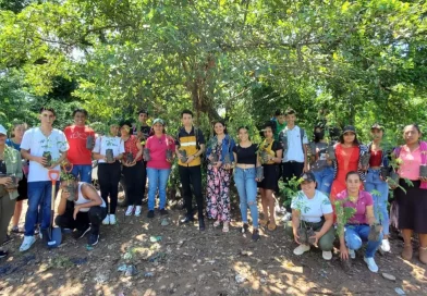 nicaragua, jornada, reforestacion, somotillo