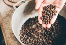 matagalpa, deria nacional del cafe, cafe, nicaragua