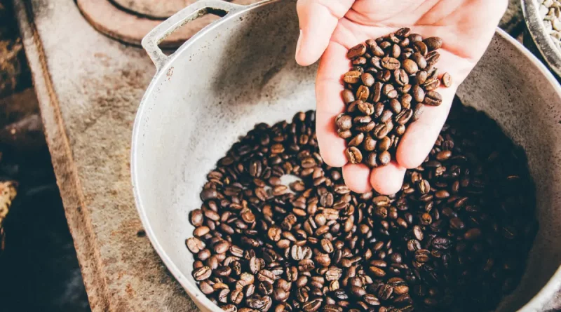 matagalpa, deria nacional del cafe, cafe, nicaragua