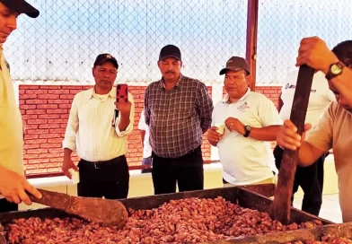 cacaotero, cacao, mefcca, rosita, productores, produccion