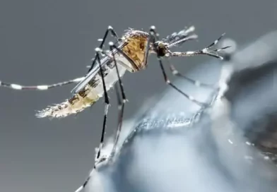 informe, minsa, salud, leptospirosis, dengue, neumonia
