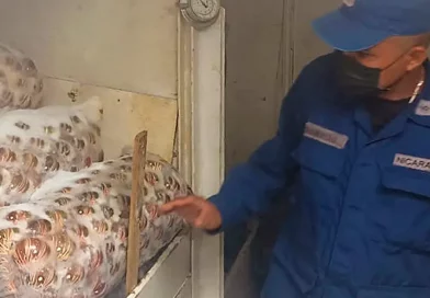naval de nicaragua, ejercito de nicaragua, inspeccion, pesca, transporte