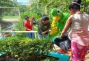 nicaragua, limpieza, jornada de limnpieza, nicaragua, medio ambiente, ambiente sano,