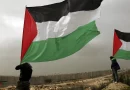 palestina, conflicto, israel, territorio, arma, guerra, opinion