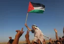 palestina, opinion, conflicto, israel, tendencia, ramon pedregal