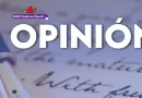 sionazi, plaestina, plan, causa