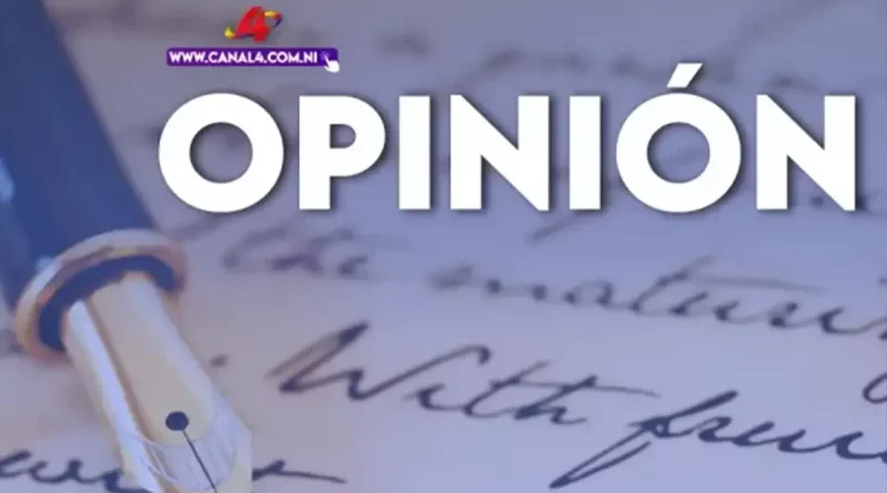 opinion, testamentos, herederos, pedrarias davila