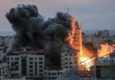 palestina, israel, conflicto, opinion