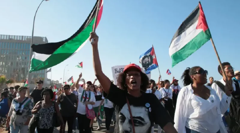 gaza, mujer con bandera, dobleces, opinion, genocidio