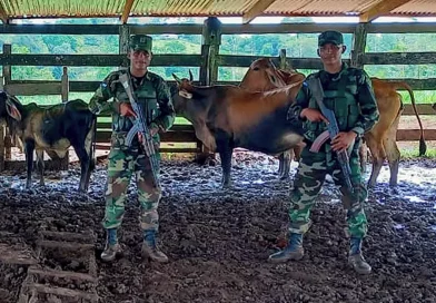 ejercito de nicaragua, operativo, costa caribe sur, contrabando