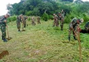 ejercito de nicaragua, jornada, reforestacion ambiental