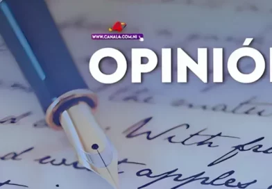 opinion, ramon pedregal, gaza, palestina