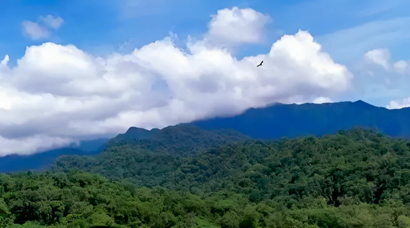 pronóstico del clima, ineter, lluvias, nicaragua