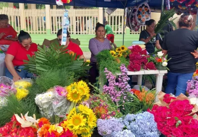 flores, nicaragua, matagalpa, cementerio, feria