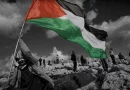 pelestina, bandera de palestina, irak, israel, niño con bandera de palestina,