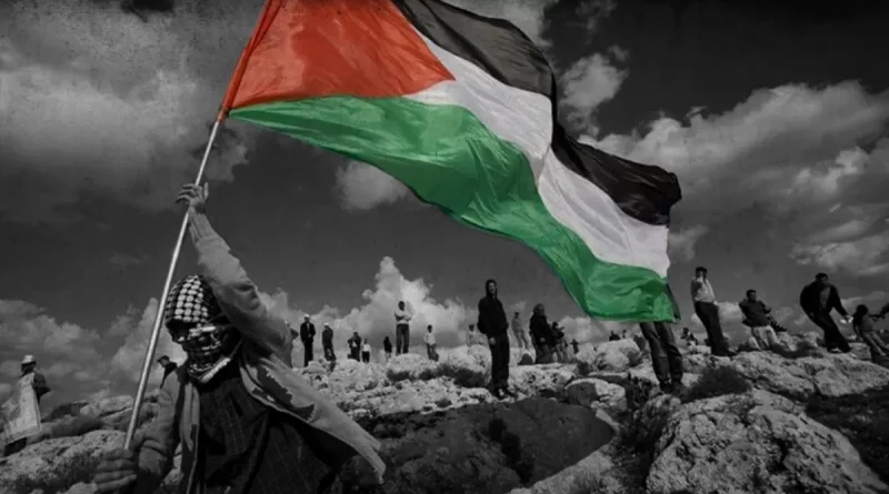 pelestina, bandera de palestina, irak, israel, niño con bandera de palestina,