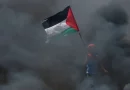 palestina, gaza, genocidio, israel, guerra, muerte, niños