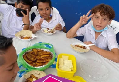 niños, precendentes, plan nacional nutricional, atencion, niños, embarazadas
