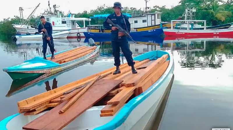 fuerza naval, costa caribe norte, madera, nicaragua, embarcacion, pino