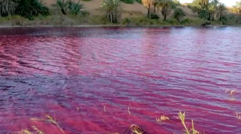 Río Nilo, aguas, teñidas, tiñe, tiñó, rojo, color, sangre, evento naturales, redes, internautas, interpretación, debate, inusual, razón, causa,