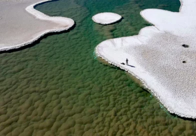 descubren las profundidades, desierto argentino, ecosistema