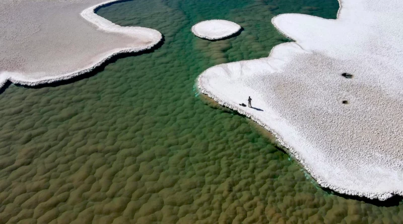 descubren las profundidades, desierto argentino, ecosistema