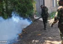ejercito de nicaragua, matagalpa, fumigacion, bti, larvicida, nicaragua,