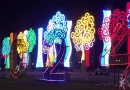 mundo, pueblo, nicaragua, managua, saniel ortega, rosario murillo, mensaje, luces, navidad, año nuevo,