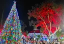 nicaragua, arbol navideño, navidad, diriamba, carazo,