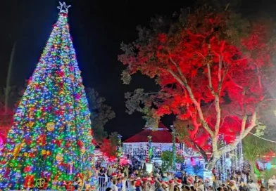 nicaragua, arbol navideño, navidad, diriamba, carazo,