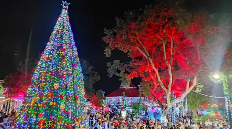 nicaragua, arbol navideño, navidad, diriamba, carazo,