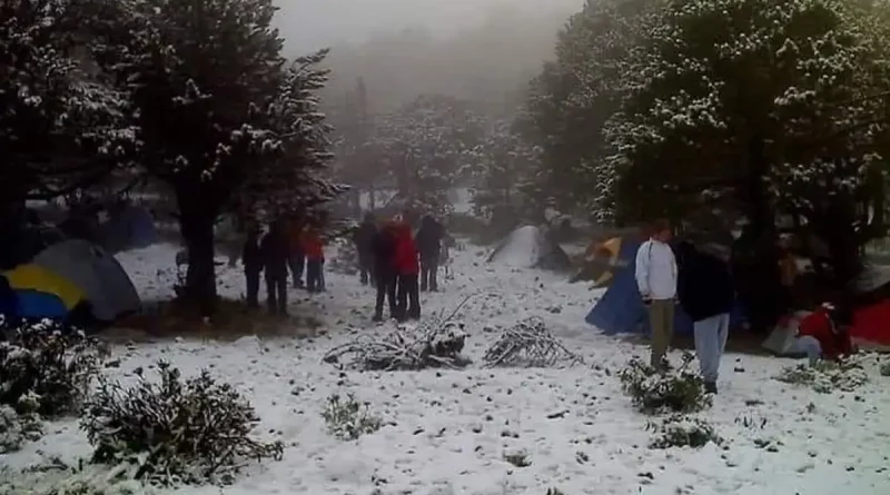 vieve, hielo, escarcha, cerro el pital, el salvador, insolito, fenomeno climatico, frio, arboles, personas,