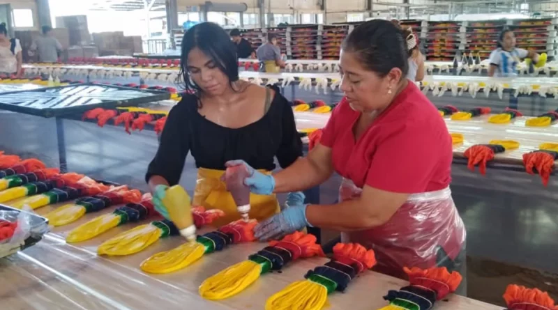 textil, textiles, mujeres, nicaragua, inversiones,