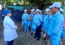 nicaragua, minsa, acciones, jornada, brigadista