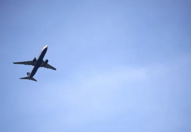aterrizaje, avion, francia, noticias, internacional, avión en el cielo, argelio, avion,