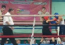 boxeadores, ring de boxeo, managua, deporte, boxeadores, alcaldia de managua, gimnasio roger deshon,