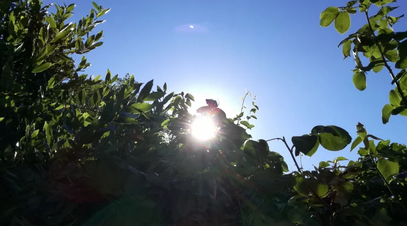 ineter, clima, pronóstico del tiempo, managua, nicaragua