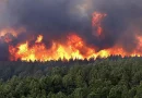 incendios forestales, Colombia, desastre ambiental, fuego, llamas, emergencia ambiental,