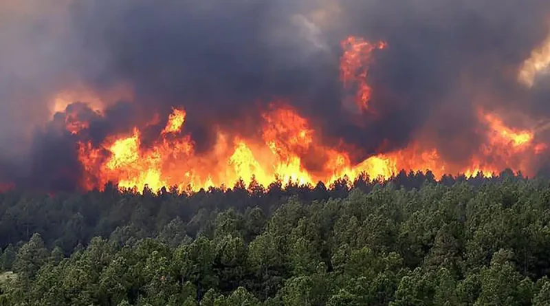 incendios forestales, Colombia, desastre ambiental, fuego, llamas, emergencia ambiental,
