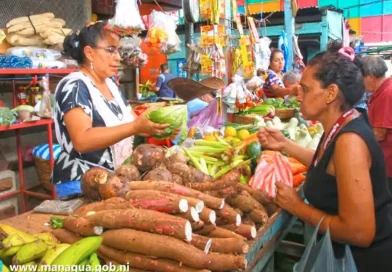 mercado, presios, diciembre 2023, Indice de recio al consumidor, IPC, comportamiento, datos, INIDE, verduras, comerciante,