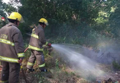 nicaragua, plan de prevencion, bosques, inafor, mti