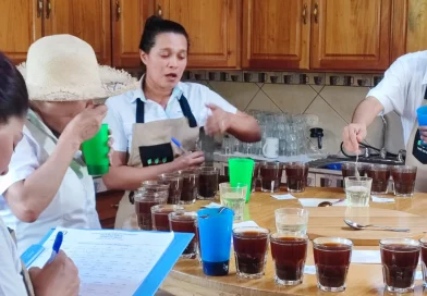 nicaragua, china, tlc, ,mercado chino, cafe, alta calidad