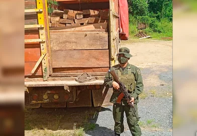 nicaragua, ejercito de nicaragua, ocupacion de madera